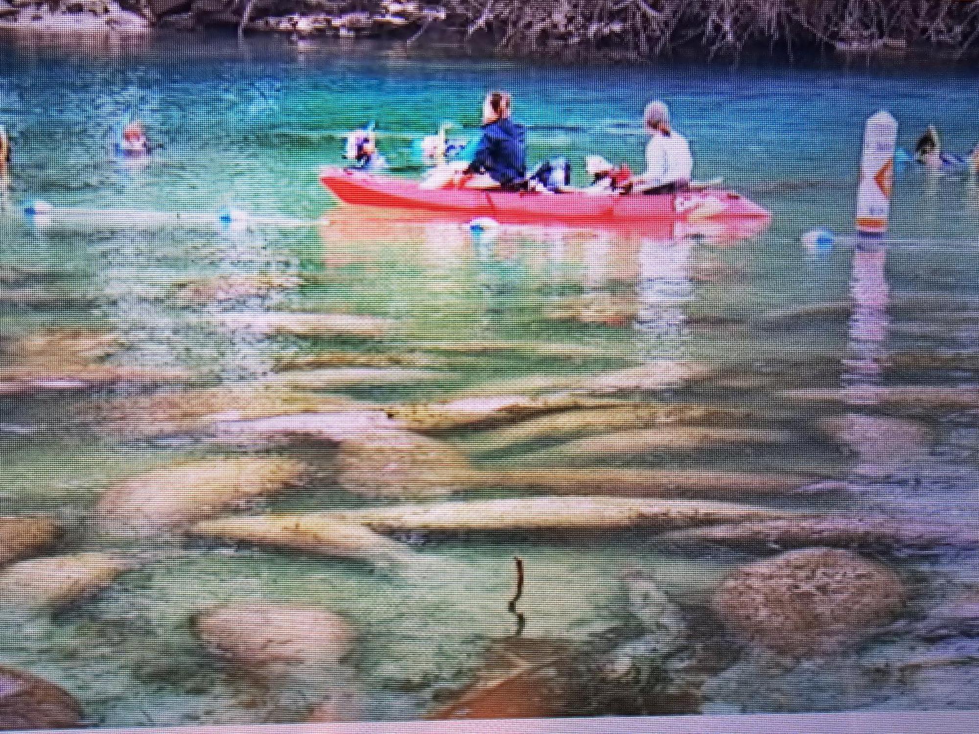 Apartamento Manatee Watch Den Crystal River Exterior foto